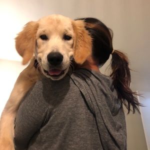 Meet your Posher, Jade